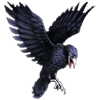 Benutzeravatar
