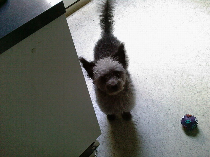 Sammy