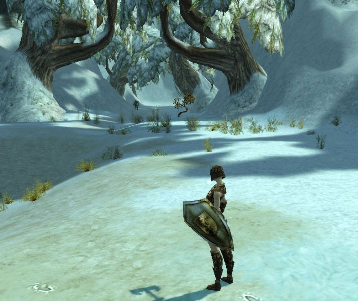 GW : Schneelandschaft