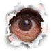 Benutzeravatar