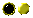 Eingeweihter